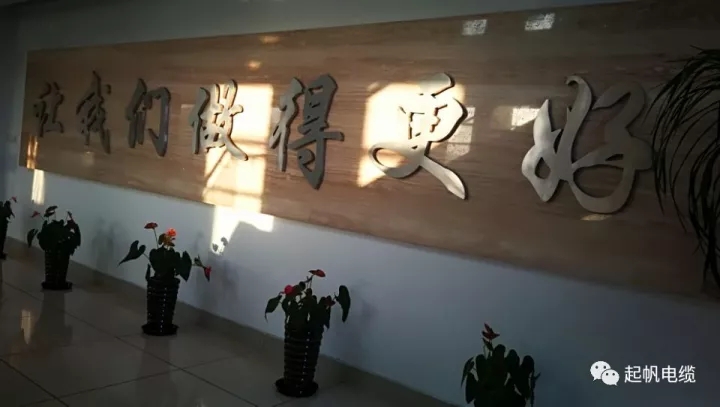 第六届金山区区长质量奖公布，起帆电缆周供华榜上有名